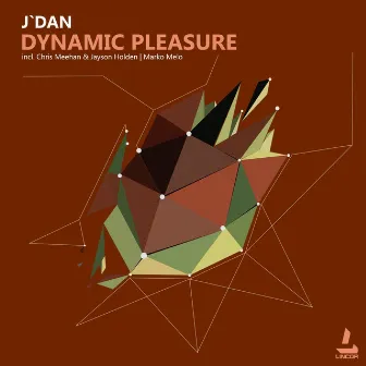 Dynamic Pleasure by Jdan