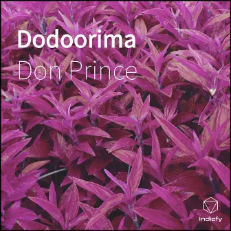 Dodoorima by Don Prince