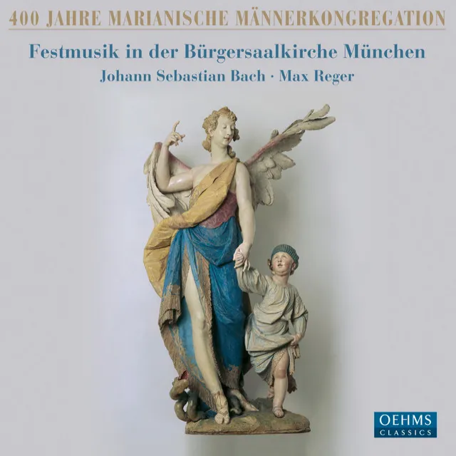 Lobe den Herren, den machtigen Konig der Ehren, BWV 137: Aria: Lobe den Herren, der deinen Stand sichtbar gesegnet (Tenor)