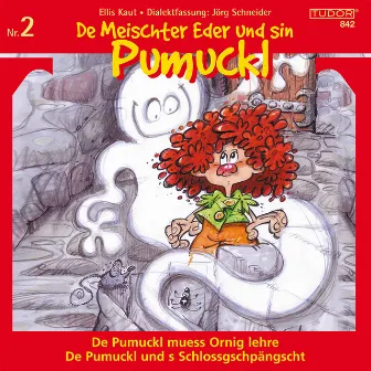 De Meischter Eder und sin Pumuckl, Vol. 2 by Paul Bühlmann