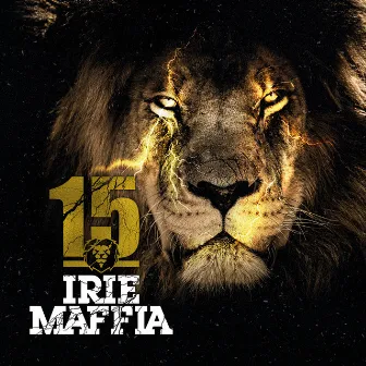 15 by Irie Maffia