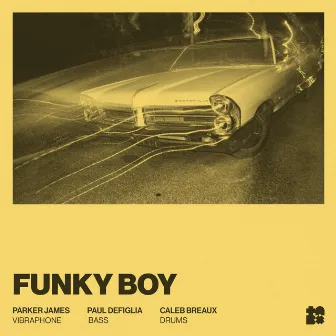 Funky Boy by Paul DeFiglia