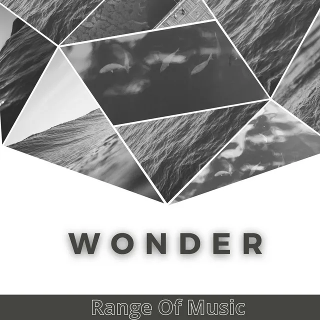 Wonder