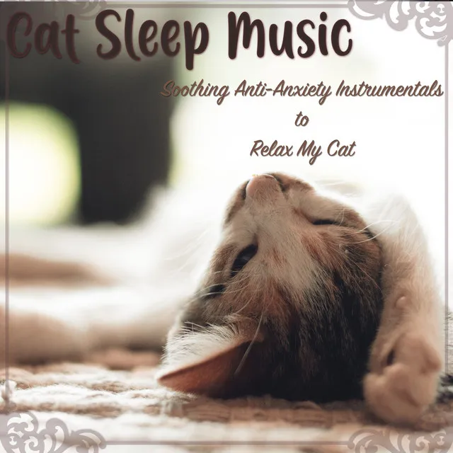 Cat Sleep Music: Soothing Anti-Anxiety Instrumentals to Relax My Cat