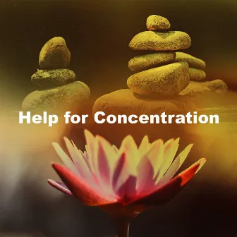 Help for Concentration by Unknown Artist