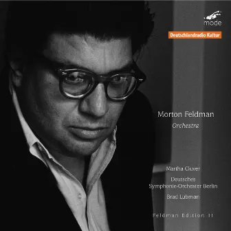 Feldman, Vol. 11: Orchestra by Martha Cluver