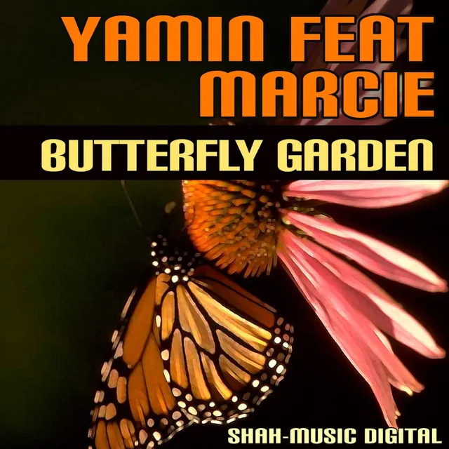 Butterfly Garden - Radio Edit