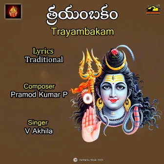 Om Trayambakam by V AKHILA