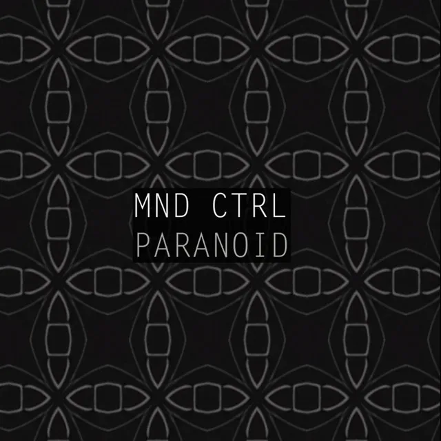 Paranoid - Radio edit