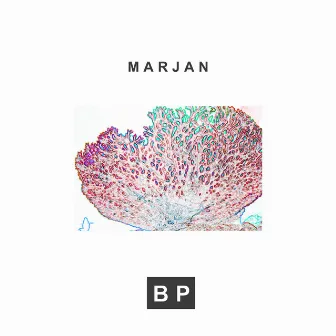 Marjan by Bp