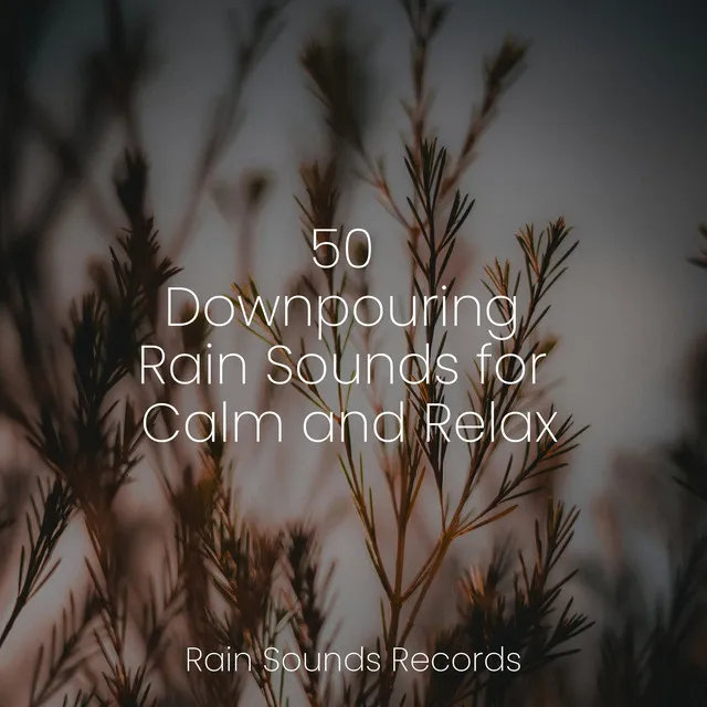 50 Downpouring Rain Sounds for Calm and Relax