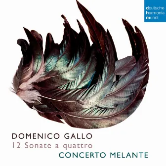 Domenico Gallo: 12 Sonate a quattro by Domenico Gallo