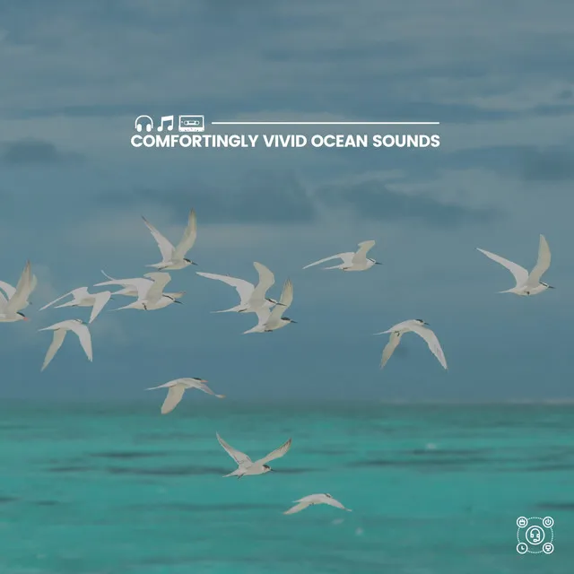 Comfortingly Vivid Ocean Sounds