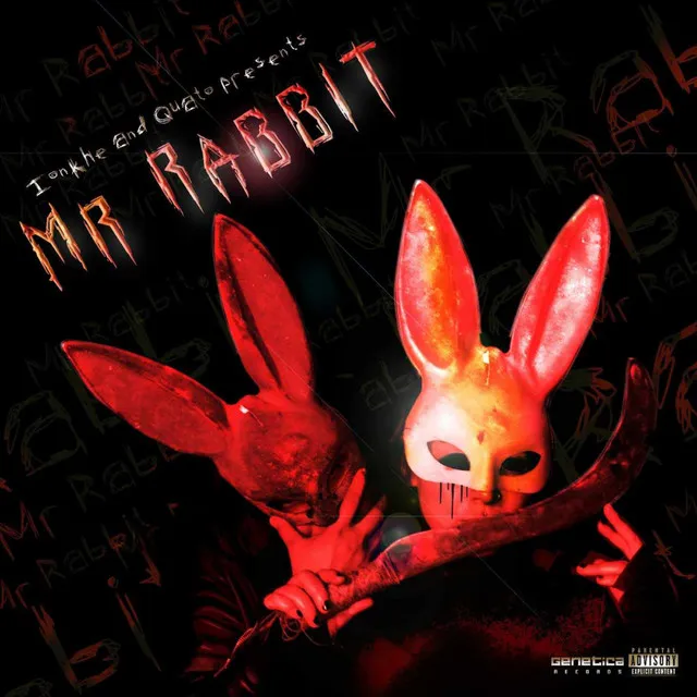 Mr Rabbit