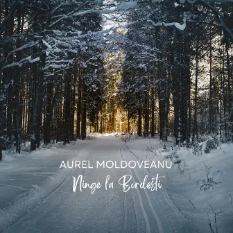 Ninge La Bordesti by Aurel Moldoveanu