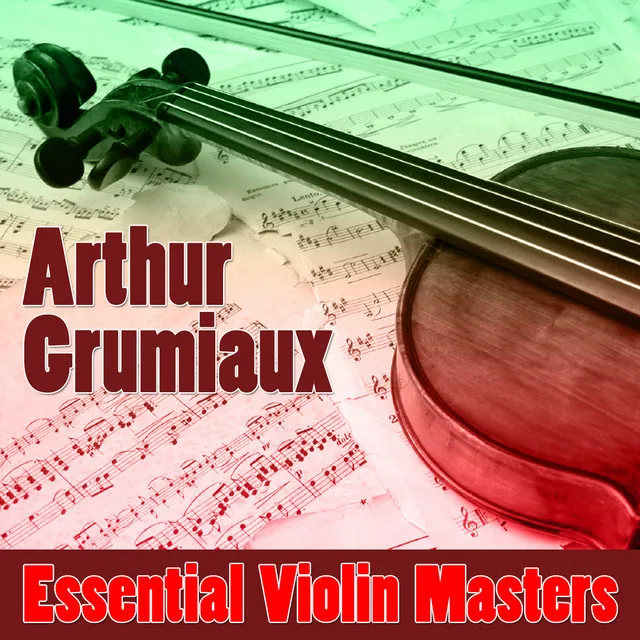 Violin Concerto No. 2 in D Major, K. 211: I. Allegro moderato