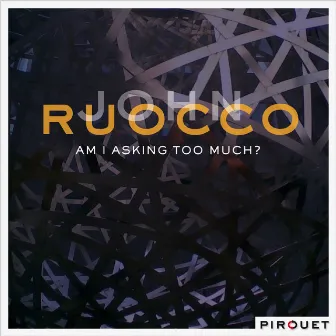 Am I Asking Too Much? by John Ruocco