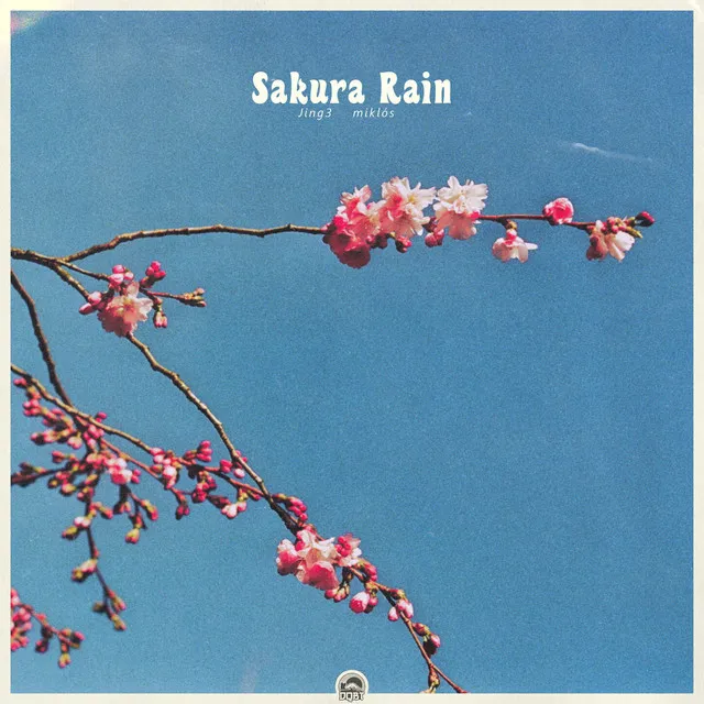 Sakura Rain