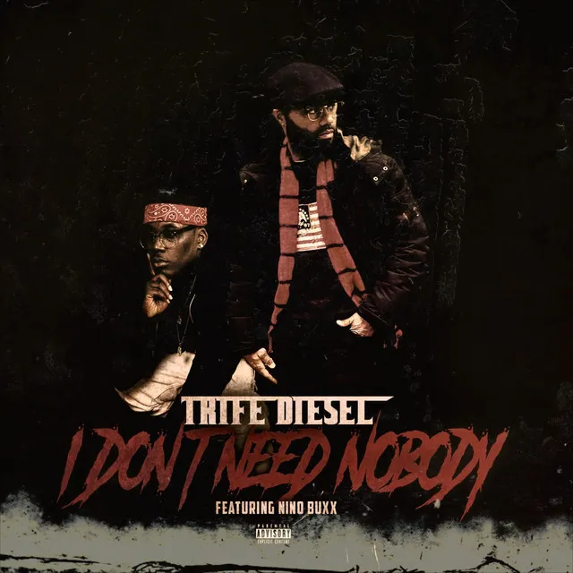 I Don't Need Nobody