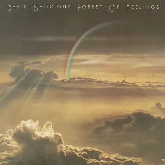 Forest of Feelings by David Sancious