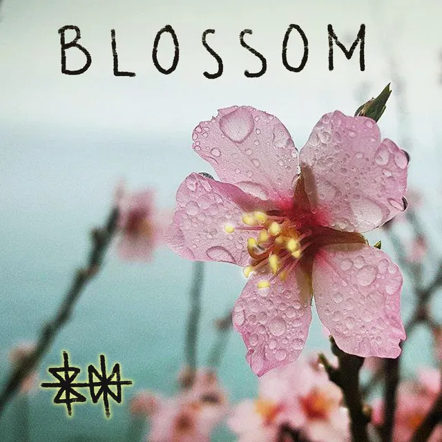 Blossom - demo