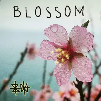 Blossom (demo) by Zen Xaria