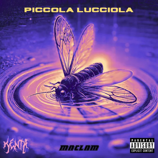 PICCOLA LUCCIOLA