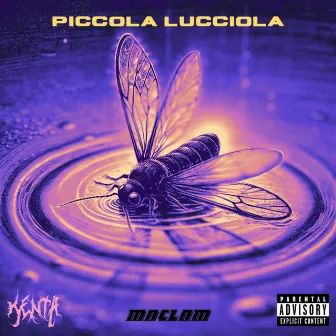 PICCOLA LUCCIOLA by KentaBoy