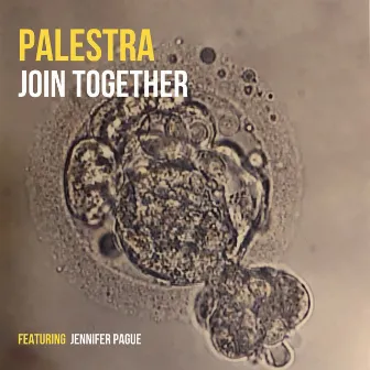 Join Together by Palestra