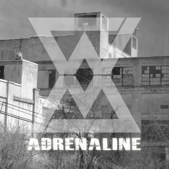 Adrenaline by Jesse Scotto