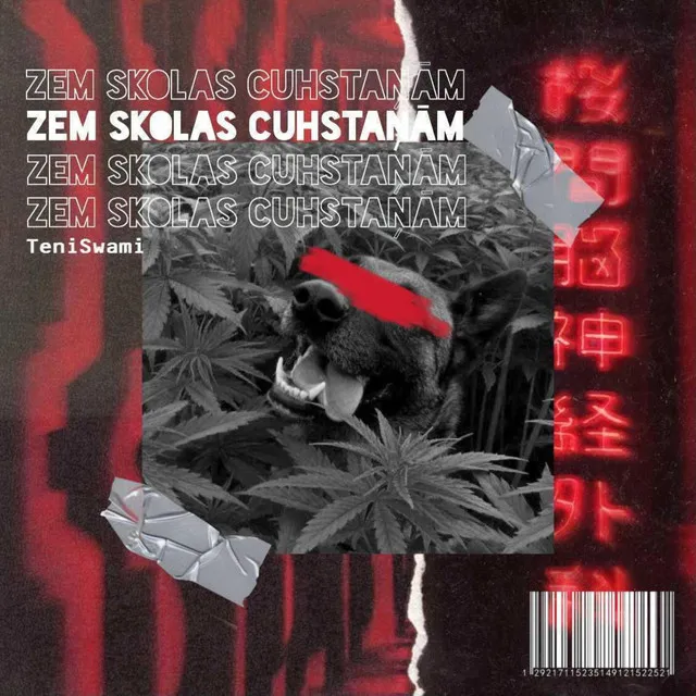 Zem skolas cuhstaņām