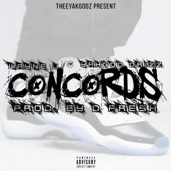 XI Concords by Wayne Jay