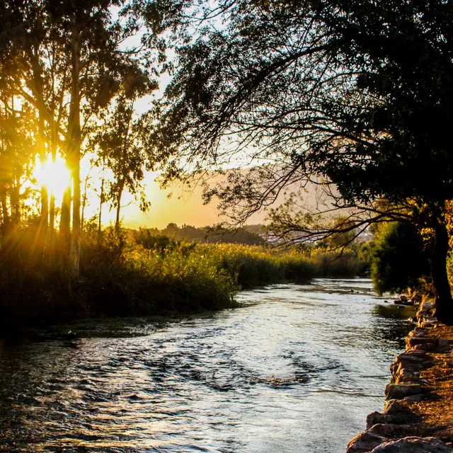 River's Inner Aria: Mystic Waters' Meditative Portico