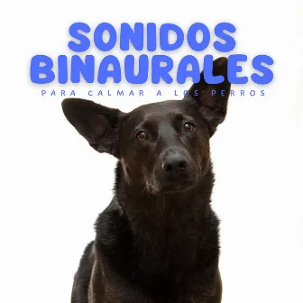 Sonidos Binaurales Para Calmar A Los Perros by Academia del sueño canino