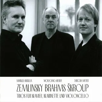 Zemlinksy, Brahms & Škroup: Trios Piano, Clarinet & Cello by Mischa Meyer