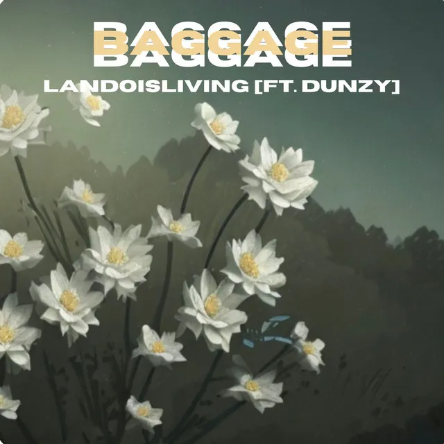 Baggage