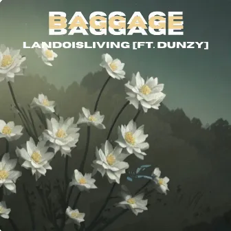 Baggage by LandoIsLiving