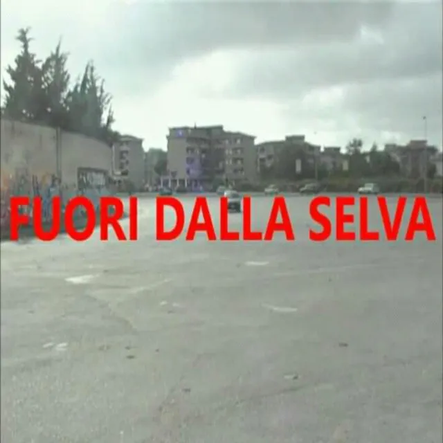 Fuori Dalla Selva