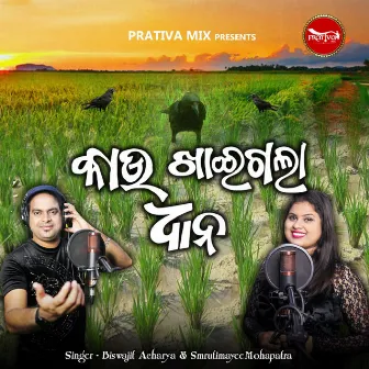 Kau Khaigala Dhana by Biswajit Acharya