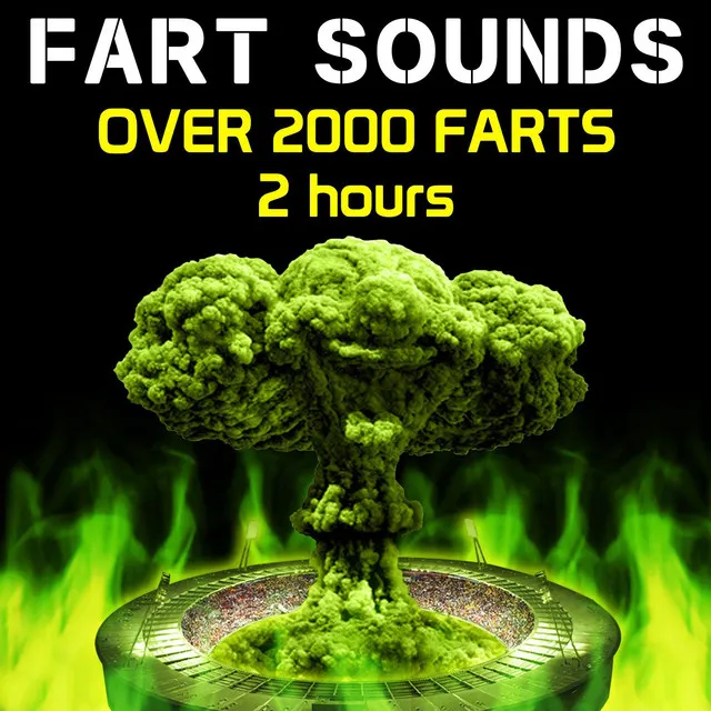 Fart Sounds - Over 2000 Farts 2 Hours