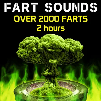 Fart Sounds - Over 2000 Farts (2 Hours) by Fart Fest