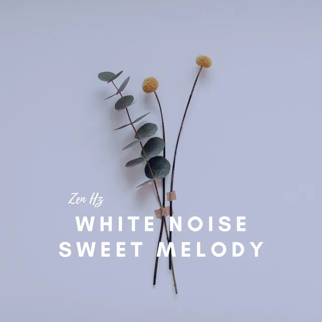 White Noise Violin & Cello - Midnight Hours - Rain Sound