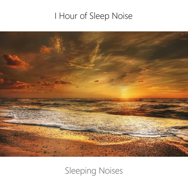 Brown Sleep Noise and Sea Wind