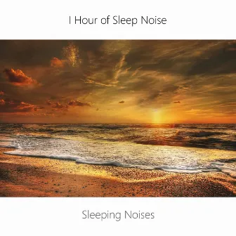 1 Hour Sleep Noise Loop. Sea, Wind and Brown Noise Sleep. Sleeping Music. by Sleeping Noises and Calming Relax Therapy Noise