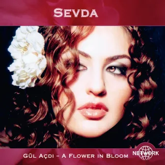 Gül açdi - A Flower In Bloom by Sevda Alekperzadeh