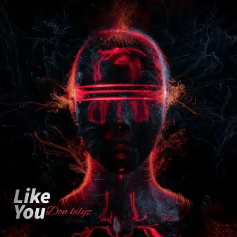 Like You by Don Kilyz