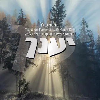 יענך Yaancha by Avi Piamenta