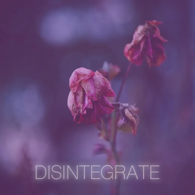 Disintegrate