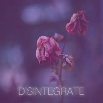 Disintegrate by April-Ess