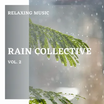 2022 Rain Collective vol. 2 by Nature Vibrations